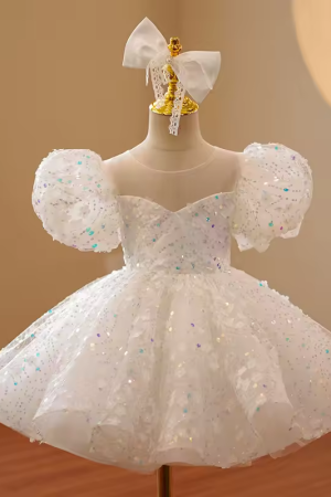 Birthday Party Exquisite Embroidery Kids Girl Dress